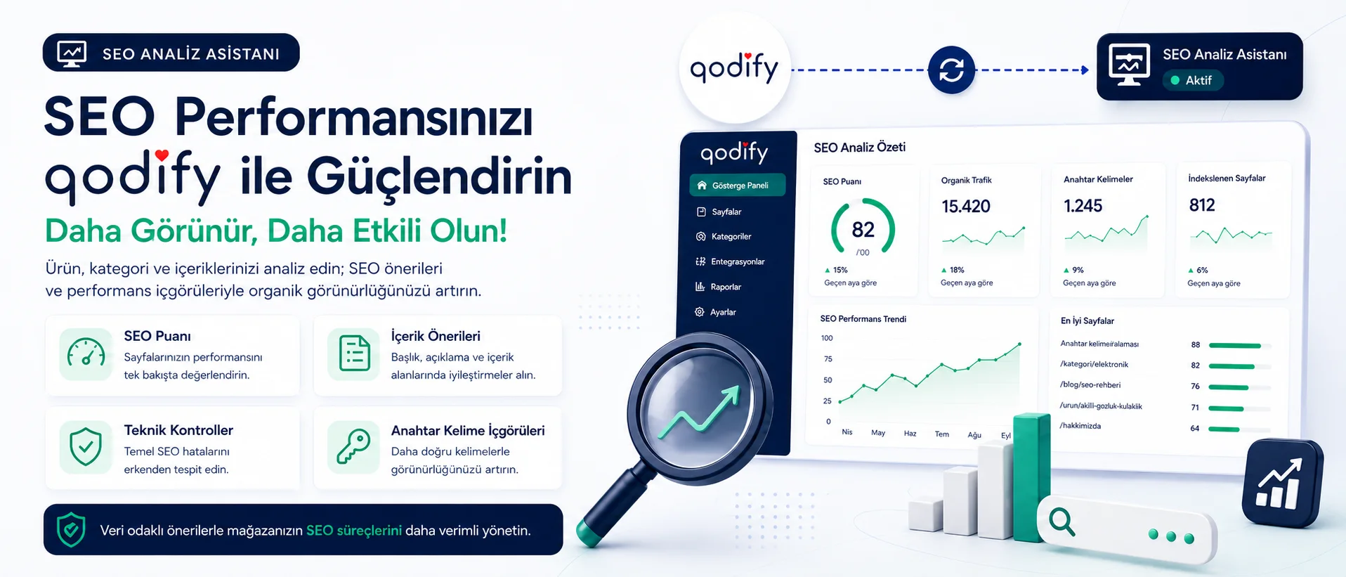 SEO Analiz Asistanı
